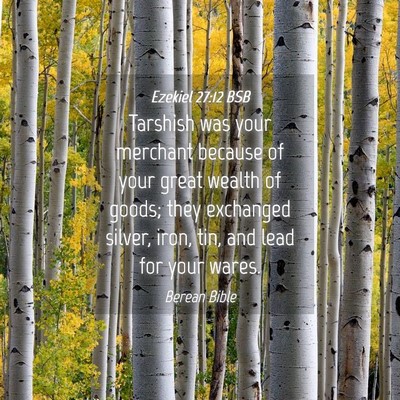 Picture 04 - Ezekiel 27:12 BSB - Tarshish was your merchant because of your great - Bible Verse Picture