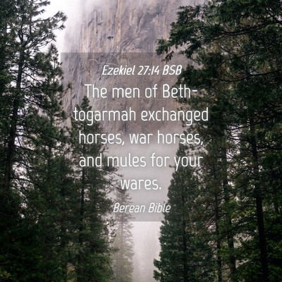 Picture 04 - Ezekiel 27:14 BSB - The men of Beth-togarmah exchanged horses, war - Bible Verse Picture