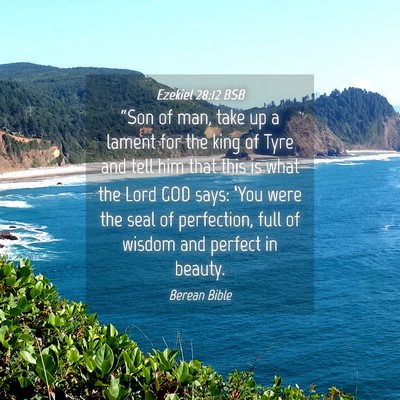 Picture 04 - Ezekiel 28:12 BSB - “Son of man, take up a lament for the king of - Bible Verse Picture