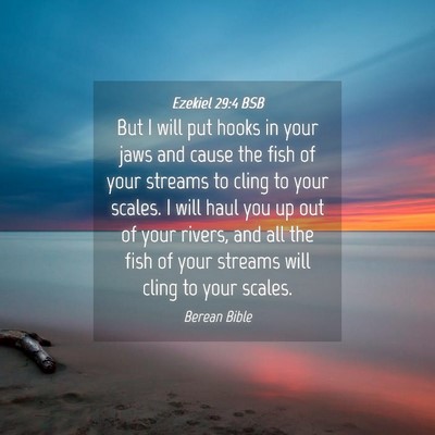 Picture 04 - Ezekiel 29:4 BSB - But I will put hooks in your jaws and cause the - Bible Verse Picture