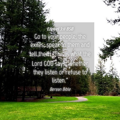 Picture 04 - Ezekiel 3:11 BSB - Go to your people, the exiles; speak to them and - Bible Verse Picture