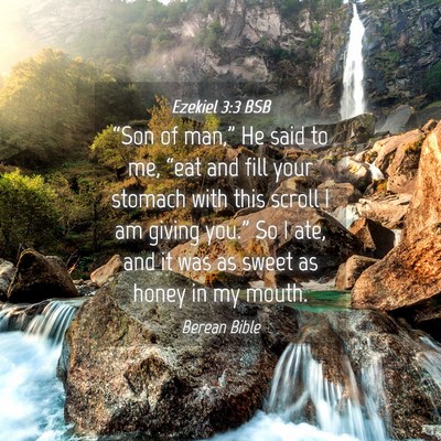 Picture 04 - Ezekiel 3:3 BSB - “Son of man,” He said to me, “eat and fill - Bible Verse Picture