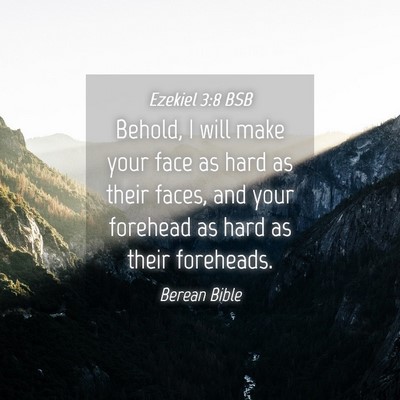 Picture 04 - Ezekiel 3:8 BSB - Behold, I will make your face as hard as their - Bible Verse Picture