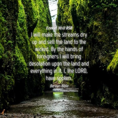 Picture 04 - Ezekiel 30:12 BSB - I will make the streams dry up and sell the land - Bible Verse Picture
