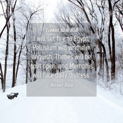 Picture 04 - Ezekiel 30:16 BSB - I will set fire to Egypt, Pelusium will writhe in - Bible Verse Picture