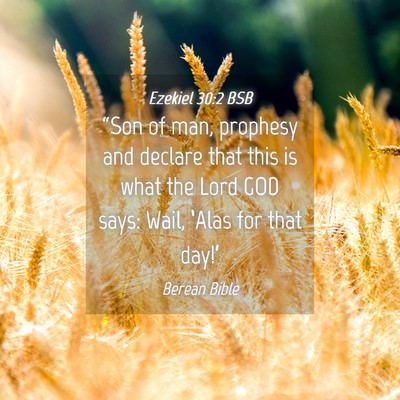 Picture 04 - Ezekiel 30:2 BSB - “Son of man, prophesy and declare that this is - Bible Verse Picture