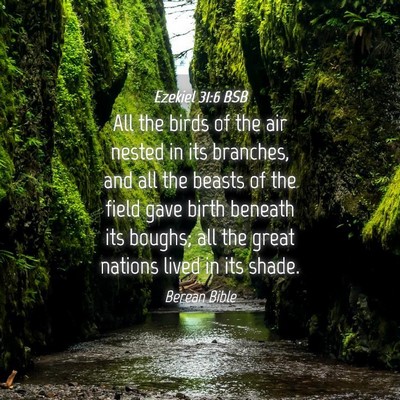 Picture 04 - Ezekiel 31:6 BSB - All the birds of the air nested in its branches, - Bible Verse Picture