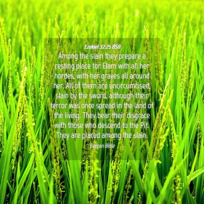 Picture 04 - Ezekiel 32:25 BSB - Among the slain they prepare a resting place for - Bible Verse Picture
