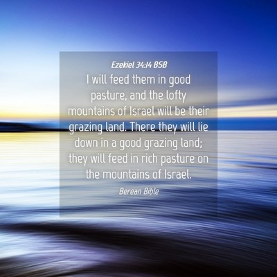 Picture 04 - Ezekiel 34:14 BSB - I will feed them in good pasture, and the lofty - Bible Verse Picture