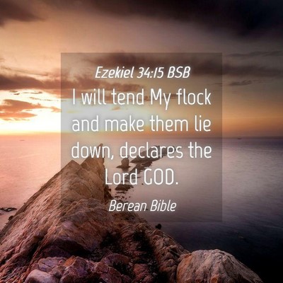 Picture 04 - Ezekiel 34:15 BSB - I will tend My flock and make them lie down, - Bible Verse Picture