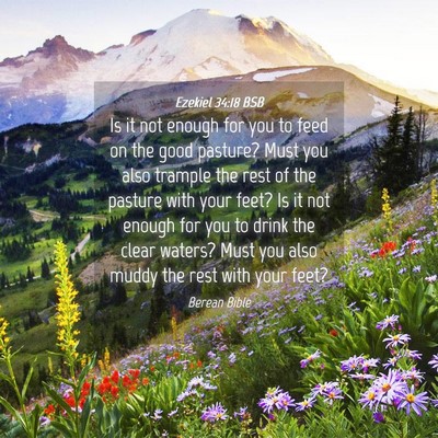 Picture 04 - Ezekiel 34:18 BSB - Is it not enough for you to feed on the good - Bible Verse Picture