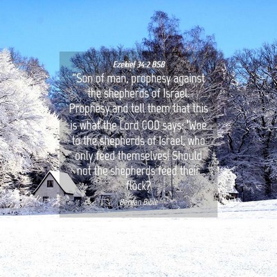 Picture 04 - Ezekiel 34:2 BSB - “Son of man, prophesy against the shepherds of - Bible Verse Picture