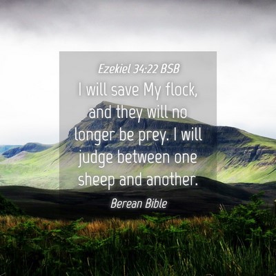 Picture 04 - Ezekiel 34:22 BSB - I will save My flock, and they will no longer be - Bible Verse Picture