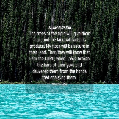 Picture 04 - Ezekiel 34:27 BSB - The trees of the field will give their fruit, and - Bible Verse Picture