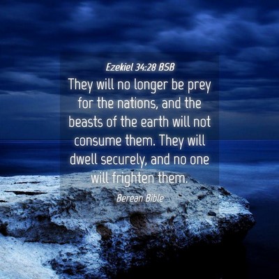 Picture 04 - Ezekiel 34:28 BSB - They will no longer be prey for the nations, and - Bible Verse Picture
