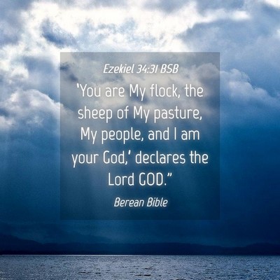 Picture 04 - Ezekiel 34:31 BSB - ‘You are My flock, the sheep of My pasture, My - Bible Verse Picture
