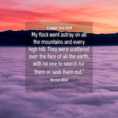 Picture 04 - Ezekiel 34:6 BSB - My flock went astray on all the mountains and - Bible Verse Picture