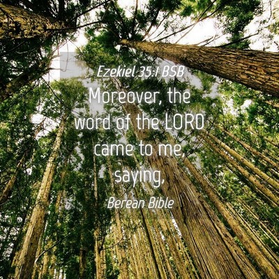 Picture 04 - Ezekiel 35:1 BSB - Moreover, the word of the LORD came to me, - Bible Verse Picture
