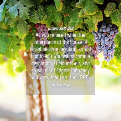 Picture 04 - Ezekiel 35:15 BSB - As you rejoiced when the inheritance of the house - Bible Verse Picture