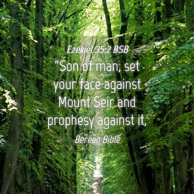 Picture 04 - Ezekiel 35:2 BSB - “Son of man, set your face against Mount Seir - Bible Verse Picture