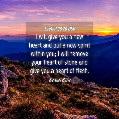 Picture 04 - Ezekiel 36:26 BSB - I will give you a new heart and put a new spirit - Bible Verse Picture