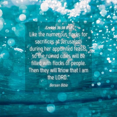 Picture 04 - Ezekiel 36:38 BSB - Like the numerous flocks for sacrifices at - Bible Verse Picture