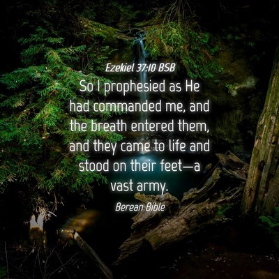 Picture 04 - Ezekiel 37:10 BSB - So I prophesied as He had commanded me, and the - Bible Verse Picture