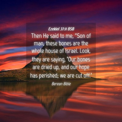 Picture 04 - Ezekiel 37:11 BSB - Then He said to me, “Son of man, these bones - Bible Verse Picture