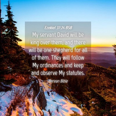 Picture 04 - Ezekiel 37:24 BSB - My servant David will be king over them, and - Bible Verse Picture