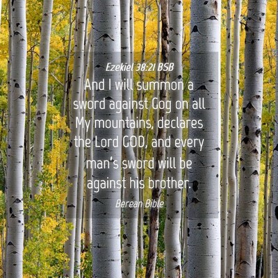 Picture 04 - Ezekiel 38:21 BSB - And I will summon a sword against Gog on all My - Bible Verse Picture
