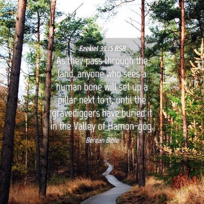 Picture 04 - Ezekiel 39:15 BSB - As they pass through the land, anyone who sees a - Bible Verse Picture