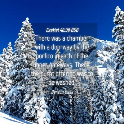 Picture 04 - Ezekiel 40:38 BSB - There was a chamber with a doorway by the portico - Bible Verse Picture
