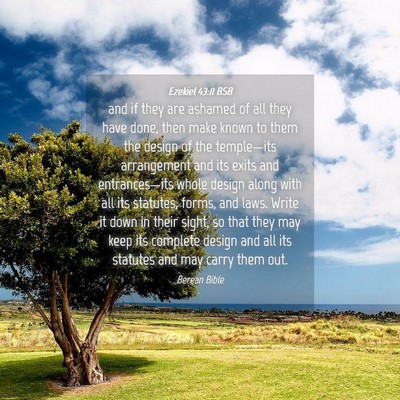 Picture 04 - Ezekiel 43:11 BSB - and if they are ashamed of all they have done, - Bible Verse Picture