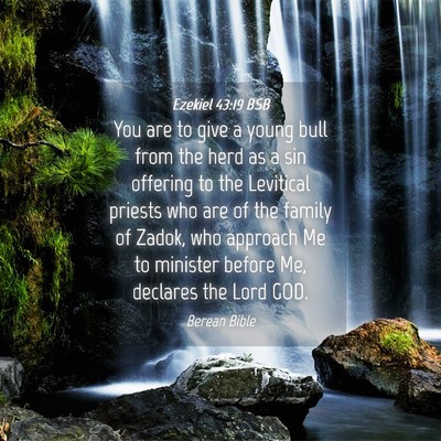 Picture 04 - Ezekiel 43:19 BSB - You are to give a young bull from the herd as a - Bible Verse Picture
