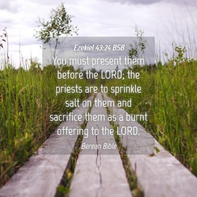 Picture 04 - Ezekiel 43:24 BSB - You must present them before the LORD; the - Bible Verse Picture