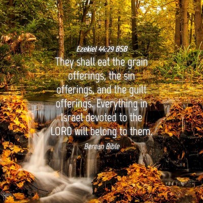 Picture 04 - Ezekiel 44:29 BSB - They shall eat the grain offerings, the sin - Bible Verse Picture