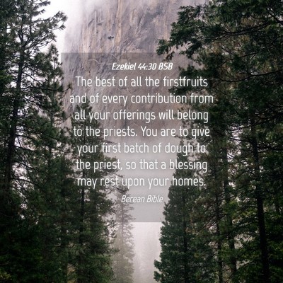 Picture 04 - Ezekiel 44:30 BSB - The best of all the firstfruits and of every - Bible Verse Picture
