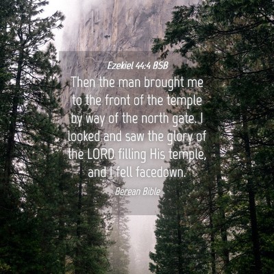 Picture 04 - Ezekiel 44:4 BSB - Then the man brought me to the front of the - Bible Verse Picture