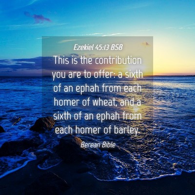 Picture 04 - Ezekiel 45:13 BSB - This is the contribution you are to offer: a - Bible Verse Picture