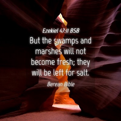 Picture 04 - Ezekiel 47:11 BSB - But the swamps and marshes will not become fresh; - Bible Verse Picture