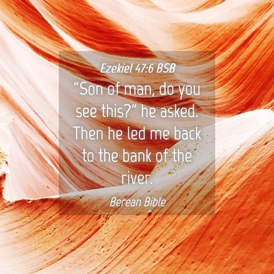 Picture 04 - Ezekiel 47:6 BSB - “Son of man, do you see this?” he asked. Then - Bible Verse Picture