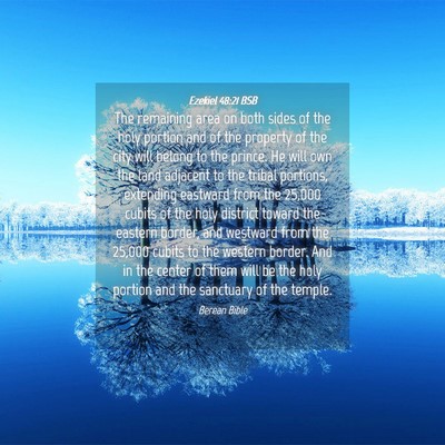 Picture 04 - Ezekiel 48:21 BSB - The remaining area on both sides of the holy - Bible Verse Picture