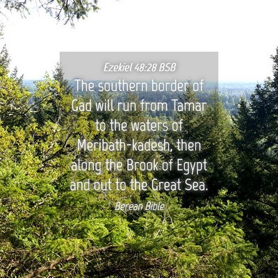 Picture 04 - Ezekiel 48:28 BSB - The southern border of Gad will run from Tamar to - Bible Verse Picture