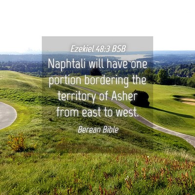Picture 04 - Ezekiel 48:3 BSB - Naphtali will have one portion bordering the - Bible Verse Picture