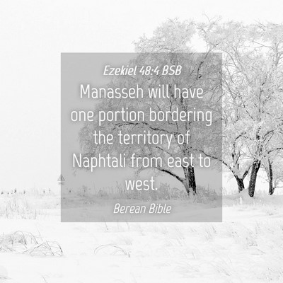 Picture 04 - Ezekiel 48:4 BSB - Manasseh will have one portion bordering the - Bible Verse Picture