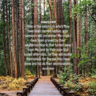 Picture 04 - Ezekiel 6:9 BSB - Then in the nations to which they have been - Bible Verse Picture