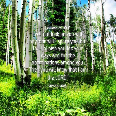 Picture 04 - Ezekiel 7:4 BSB - I will not look on you with pity, nor will I - Bible Verse Picture