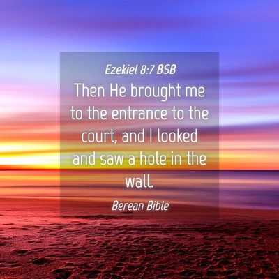 Picture 04 - Ezekiel 8:7 BSB - Then He brought me to the entrance to the court, - Bible Verse Picture