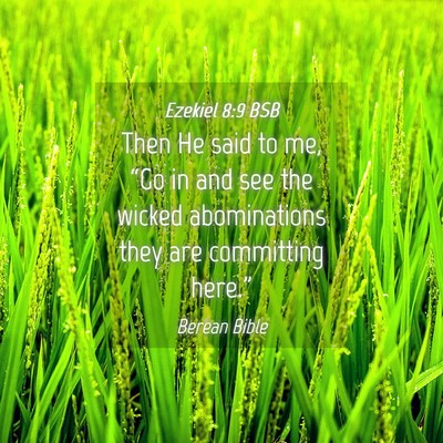 Picture 04 - Ezekiel 8:9 BSB - Then He said to me, “Go in and see the wicked - Bible Verse Picture