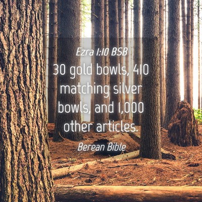 Picture 04 - Ezra 1:10 BSB - 30 gold bowls, 410 matching silver bowls, and - Bible Verse Picture
